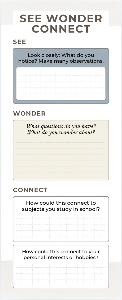 Infographic titled "See Wonder Connect" with prompts for observations, questions, and connections to school and personal interests.